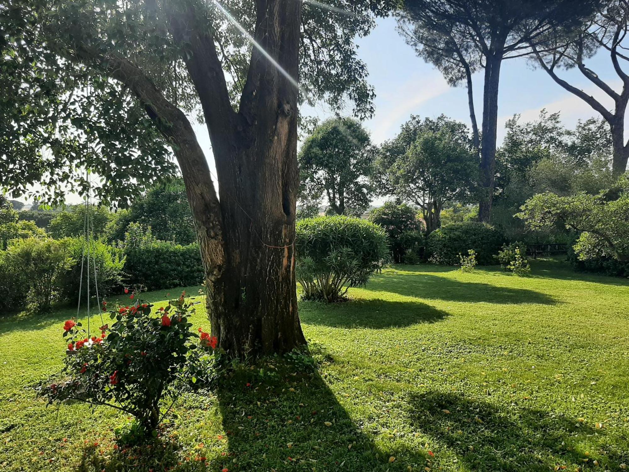 IV Casale Roma Country Villa ภายนอก รูปภาพ